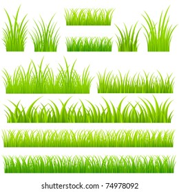 Set of vector grass. Tufts of grass.