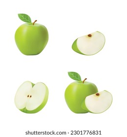set vector green apple realistic illustration