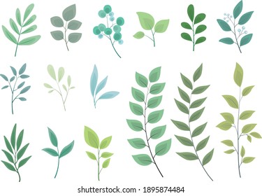 Set of vector green leaves elements