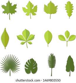 Set of vector green leaves, flat colored icon design.