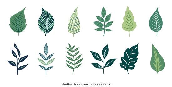 Conjunto de hojas verdes vectoriales, pegatina de doodle de planta, ilustración para pegatinas, cuaderno, presentación. Plantilla de elementos lineales, cortar formas de ramas. Hojas decorativas, filódendros, follaje