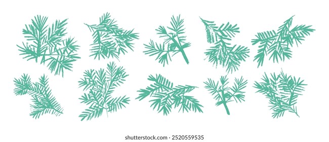 Set with vector green pine branches, hand drawn pencil. Charcoal illustration. Christmas ornament for wrapping paper and decor.