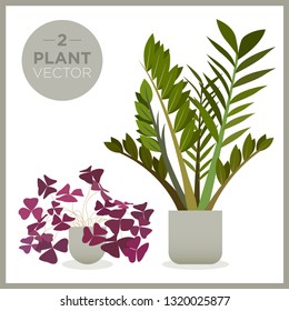 set of vector green plants illustrations