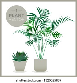 set of vector green plants illustrations