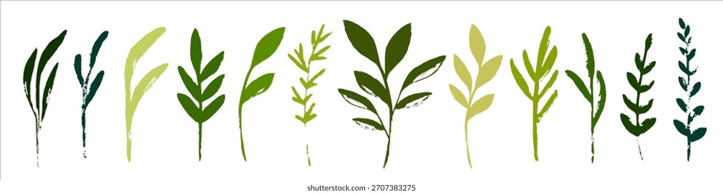 A set of vector green plants in a stamp style. Botanical herbal decorative elements.