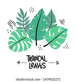 Set of vector green tropical leaves. Palm leaf collection in hand-drawn style. Elements of exotic plants isolated on a white background for print, design, decoration, poster, postcard.