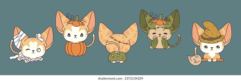 Set of Vector Halloween Abyssinian Cat Illustrations. Collection of Kawaii Isolated Halloween Cat Art. 