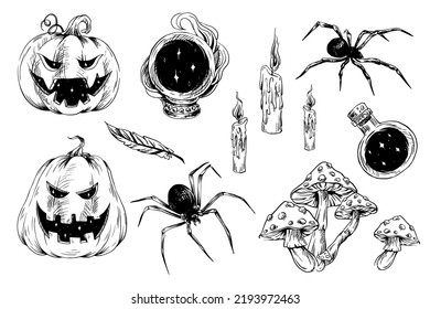 Set of vector halloween elements. Collection halloween and magic hand drawn doodle. Autumn coloring page with spooky objects: Pumpkins, hat, mushrooms, spiders, magic ball, candles, potion. 