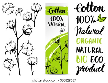 Set Of Vector Hand Draw Cotton Plant. Ink Vintage Illustration. Isolated. Sketch. Calligraphy Inscription.  Brush Lettering.