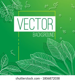 Set Vector Hand draw flower green background