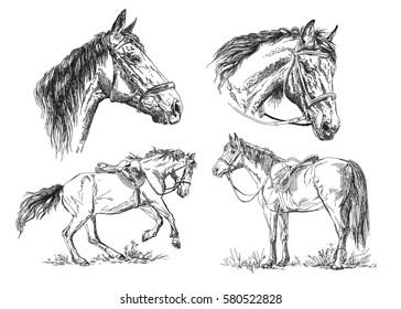 Conjunto de caballos vectoriales de dibujo con brida y montura en blanco y negro