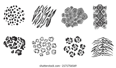Set of vector hand drawn animal skin ornaments. Modern trendy collection.