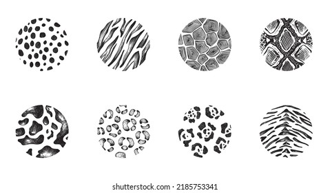 Set of vector hand drawn animal skin ornaments in circles. Modern trendy collection