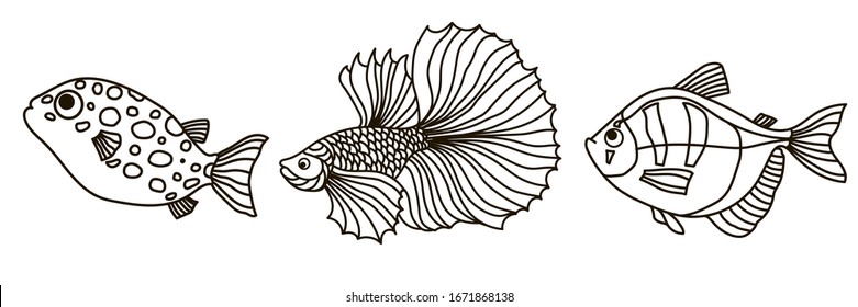Conjunto de peces acuarios dibujados a mano vectorial. Peces de doodle en el contorno negro para colorear. Tres tipos de peces tropicales aislados en el fondo blanco. Agradable y divertido.