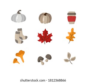 Set of vector hand drawn autumn elements. Autumn leaves, mushrooms, socks, pumpkin and mug. Fall Items for Thanksgiving Day design.