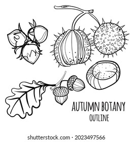 Set of vector hand drawn autumn elements.