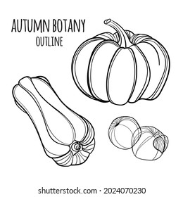 Set of vector hand drawn autumn elements.