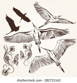 ]Set of vector hand drawn birds and swirls