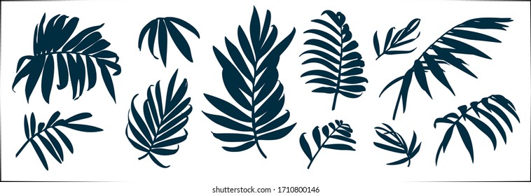 Set of vector hand drawn botanical graphic elements.Tropical chamaedorea leaves.Vector EPS10
Isolated on white background.