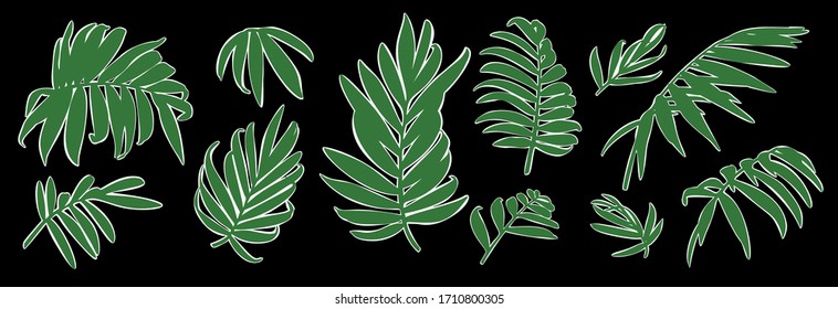 Set of vector hand drawn botanical graphic elements.Tropical chamaedorea leaves.Vector EPS10

