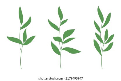 Set of vector hand drawn branches. Flat green leaves icon isolated. Floral design for print, background, banner, card. Ecology symbol, environment concept, eco sign, hipster logo.