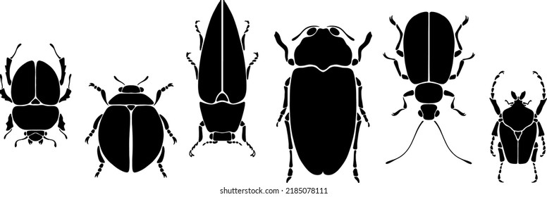 Set Of Vector Hand Drawn Bugs.