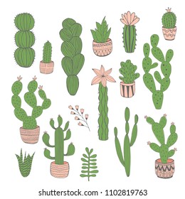 Set of vector hand drawn cactus. Isolated. Cute succulent.