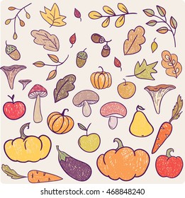 Set of  vector hand drawn cartoon icons. Autumn, Thanksgiving design template. Doodle objects.Clip art for design.
