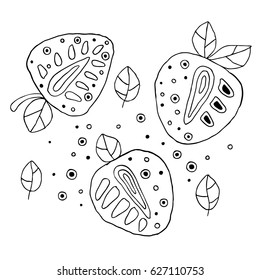 Set of vector hand drawn childish juicy, fruits. Cute childlike strawberry, leaves, seeds, drops. Doodle, sketch, cartoon style. Line drawing. Graphic illustration