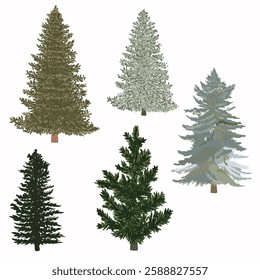 Set of vector hand drawn Christmas trees isolated on white for design