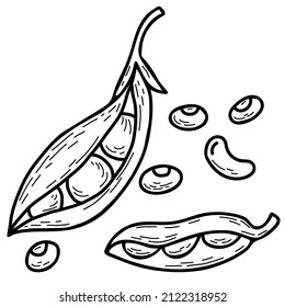 Set of vector hand drawn doodles pea plant. Beautiful vegetable pods and individual peas. Vector illustration. Linear hand drawn doodle style for design, decor and decoration, recipe and menu