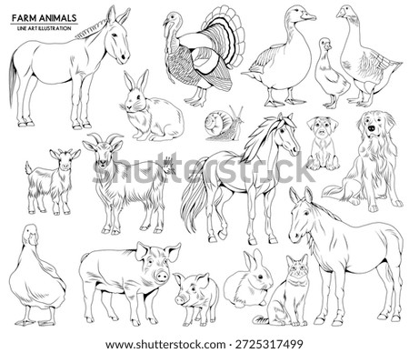 Set of vector hand drawn farm animals illustrations, line drawing animal collection