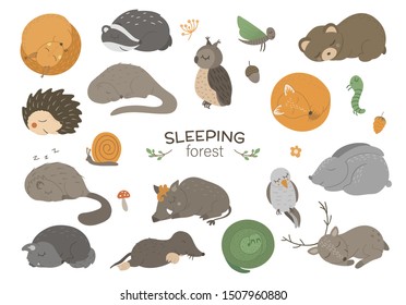 Set of vector hand drawn flat sleeping woodland animals. Funny animalistic collection. Cute forest illustration for children’s design, print, stationery