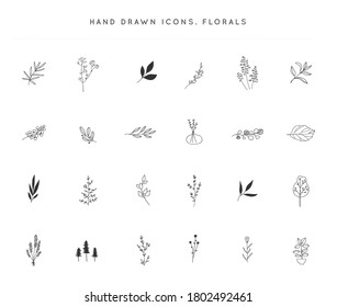 Set of vector hand drawn floral icons. Flowers and leaves. For branding and business identity. Simple elegant illustrations, isolated objects.