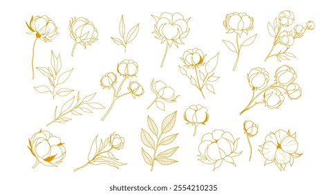 set of vector hand drawn floral cotton design elements for wedding invitation, greeting card, invitation. Collection cotton plant line art on a white background.