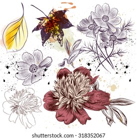 Set of vector hand drawn floral elements in engraved style