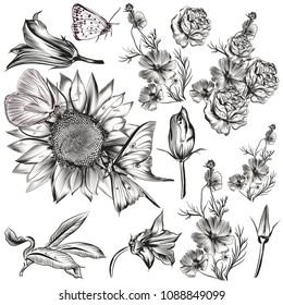 Set of vector hand drawn flowers