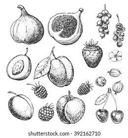 Conjunto de alimentos vectoriales extraídos a mano. Fruta y bayas.Vitaminas. Ilustración vintage en estilo de grabado.  Alimentos saludables. Esbozo.Comida orgánica.