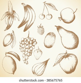 Set of vector hand drawn fruits isolated on white 