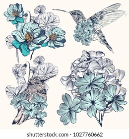 Set of vector hand drawn hummingbirds for design