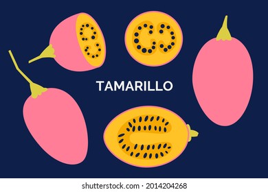Conjunto de ilustraciones hechas a mano vectorial de fruto tropical tamarillo. Colección de frutas tropicales aisladas en un fondo oscuro