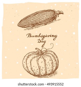 Set of vector hand drawn illustrations of the pumpkin, corn and handwritten text Thanksgiving Day.Thanksgiving Day collection in vintage style.