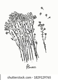 Set of vector hand drawn ink line art flowers. Meadow wild forget-me-not flower bouquet for holiday decor, summer background, floral card design.