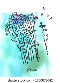 Set of vector hand drawn ink line art and watercolor stains flowers. Meadow wild forget-me-not flowers bouquet for holiday decor, summer background, floral card design.