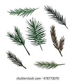 Set of vector hand drawn ink fir tree and pine branches.