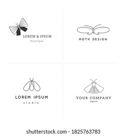 Set of vector hand drawn insect logo templates. Branding identity with butterflies. Minimalist elegant design.
