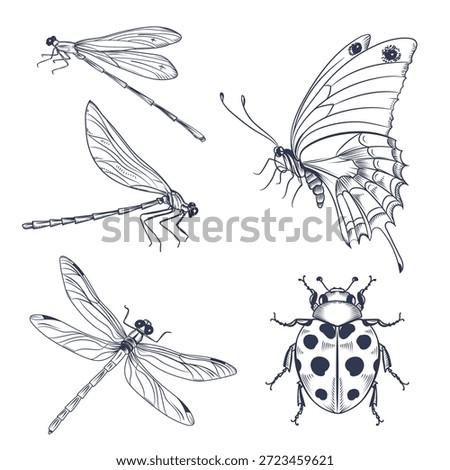 Set of vector hand drawn insects, dragonflies, butterfly, ladybug in sketch style