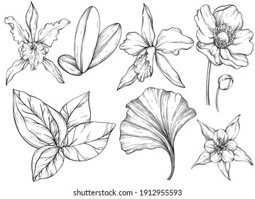 Conjunto de hojas de selva dibujadas a mano vectorial y flores exóticas. Negro y blanco