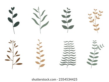 conjunto de hojas dibujadas a mano vectorial, ramas florales, ilustraciones vegetales. colección de hojas botánicas planas aisladas sobre fondo blanco. Adecuado para tarjeta de invitación, tarjeta de saludo, gracias