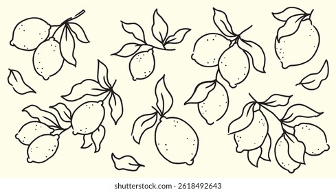 Set of vector hand drawn lemons with leaves. Ink, line and sketch effect illustration of lemon branches. Mediterranean Italian summer style. Clipart set, editable elements with transparent background.